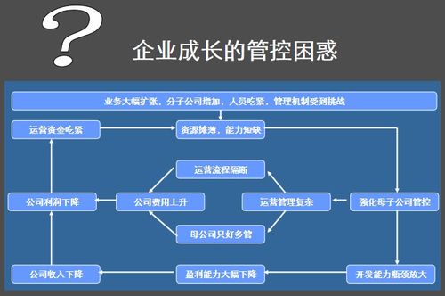 房地產企業(yè)集團管控模式與總部管理之道